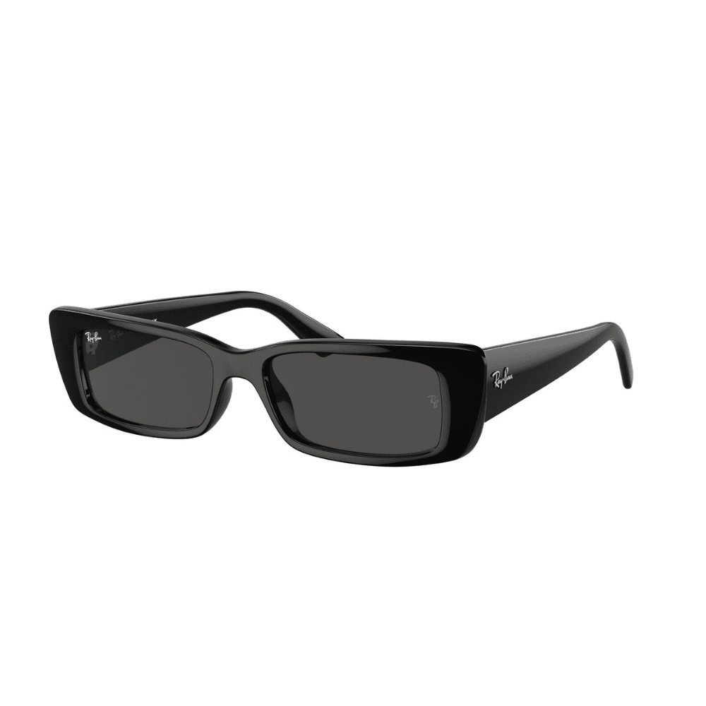 Ray-Ban RB4425 667787 54 TERU BLACK