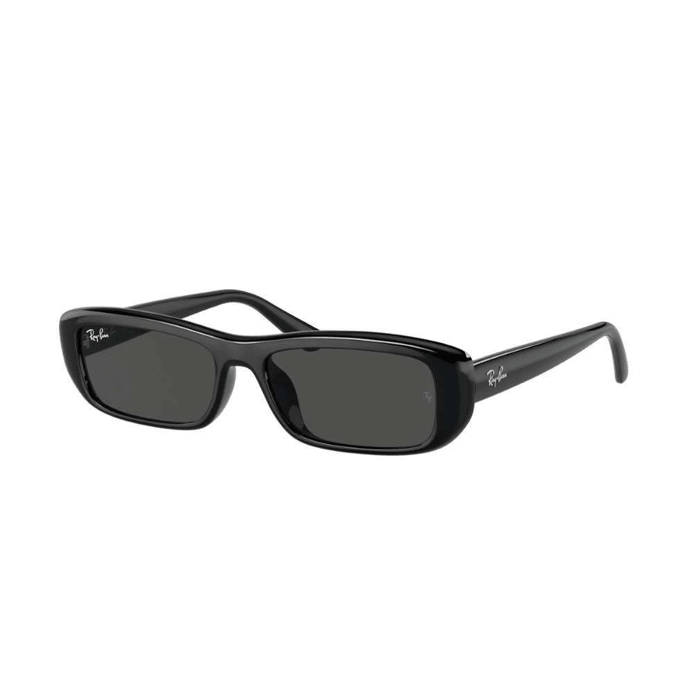 Ray-Ban RB4436D 667787 55 BLACK