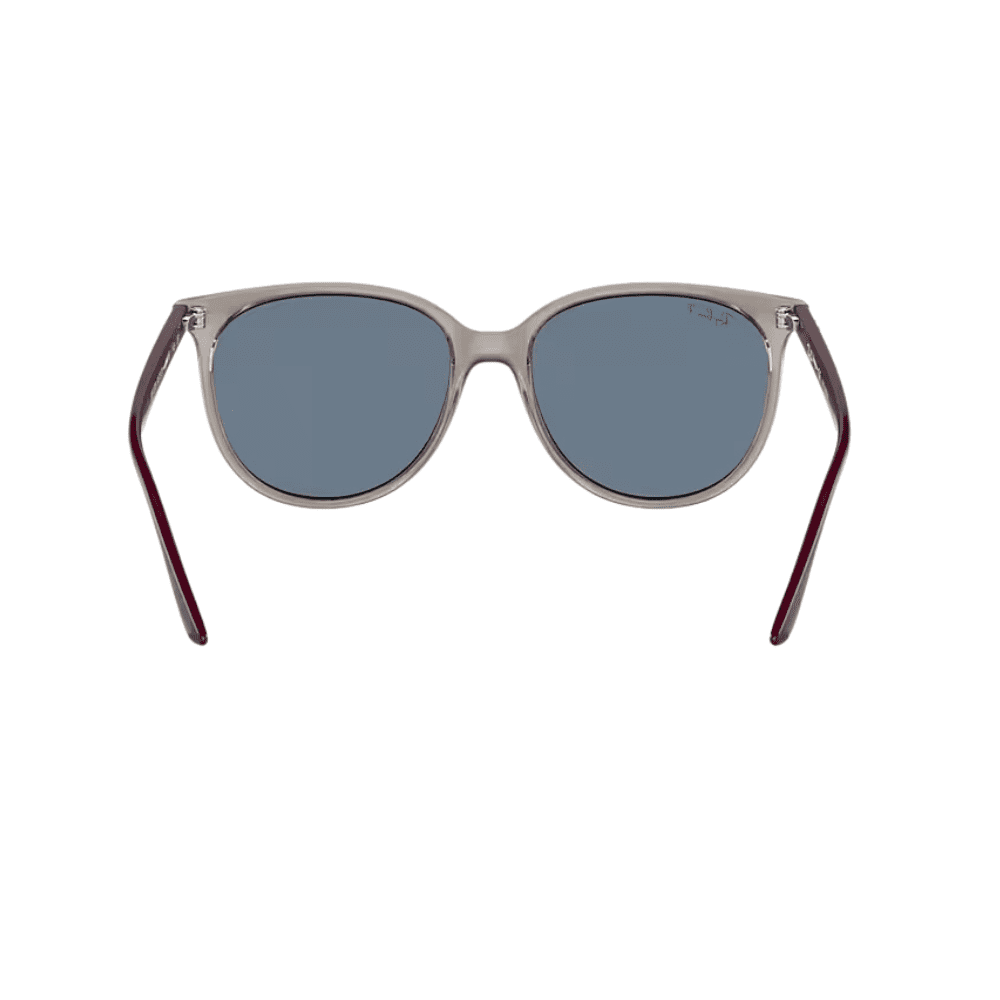 Ray-Ban RB4378 657 22V Polarised