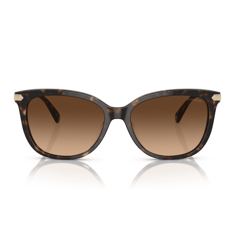 Coach HC8378U 512074 57 Dark Tortoise/Brown