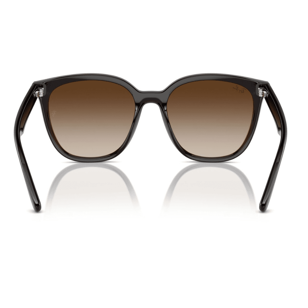 Ray-Ban RB4423D 714/13 66 Transparent Brown/Brown