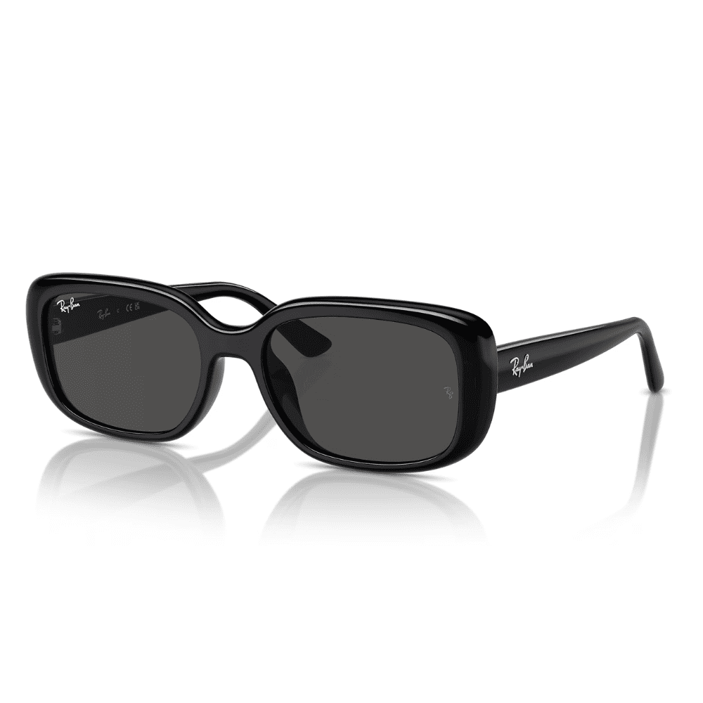 Ray-Ban RB4421D 66787 56 Black/Grey
