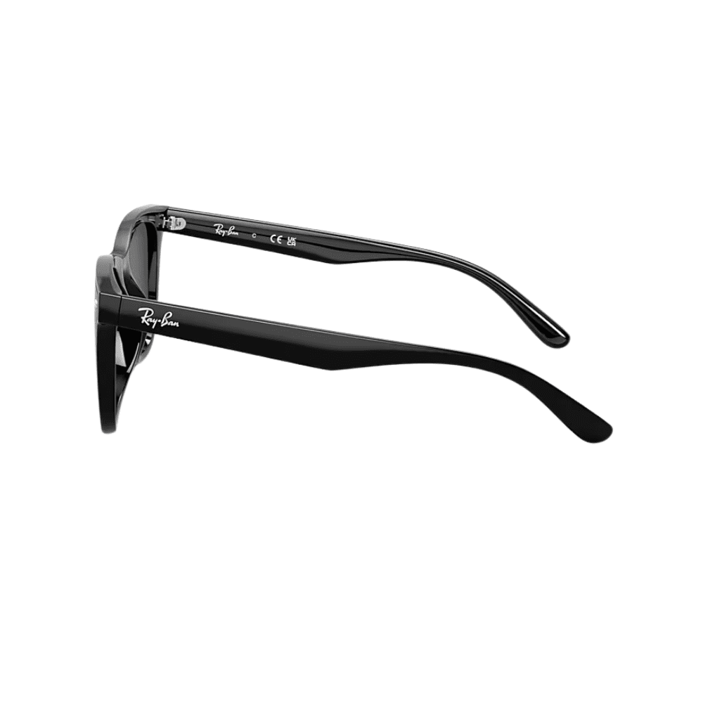 Ray-Ban RB4420 601/87 65 Black/Grey