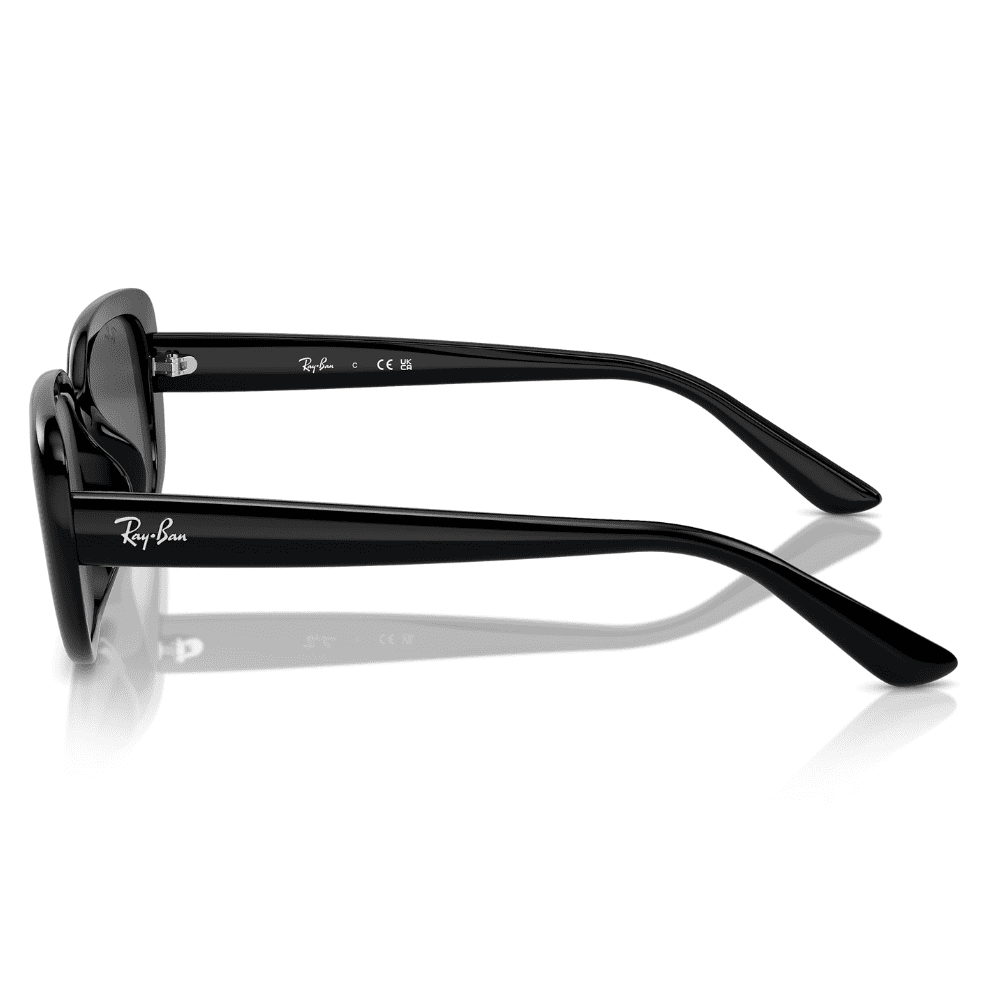 Ray-Ban RB4421D 66787 56 Black/Grey