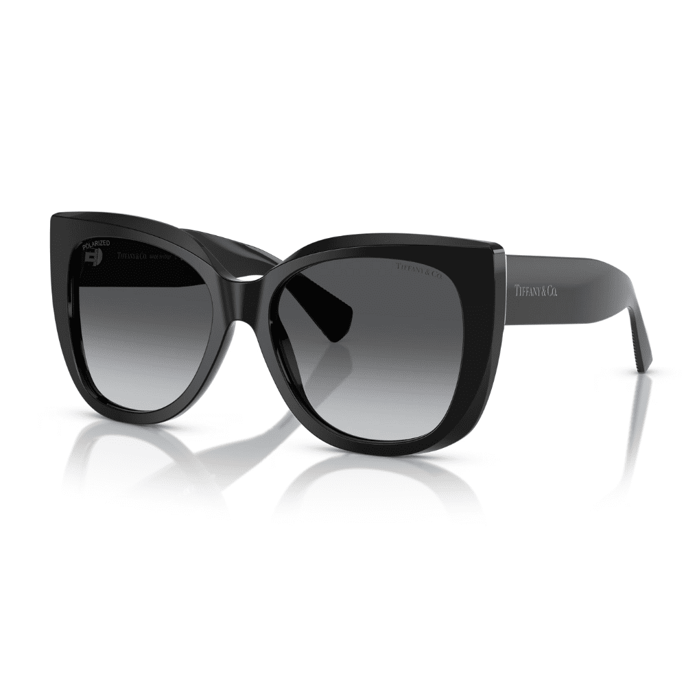 Tiffany & Co. TF4229 8001T3 55 Black/Grey