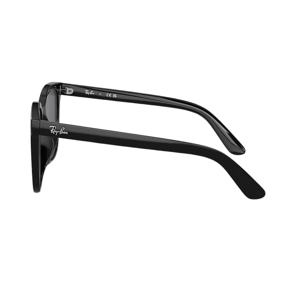 Ray-Ban RB4401D 608/87 Polished Black/Dark Grey