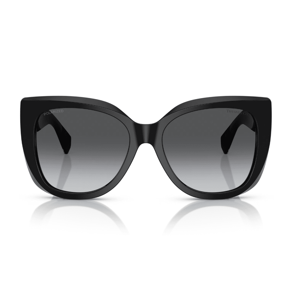 Tiffany & Co. TF4229 8001T3 55 Black/Grey polarised