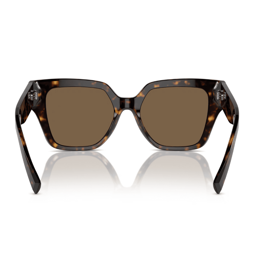 Dolce & Gabbana DG4471 502/73 52 Havana/Dark Brown