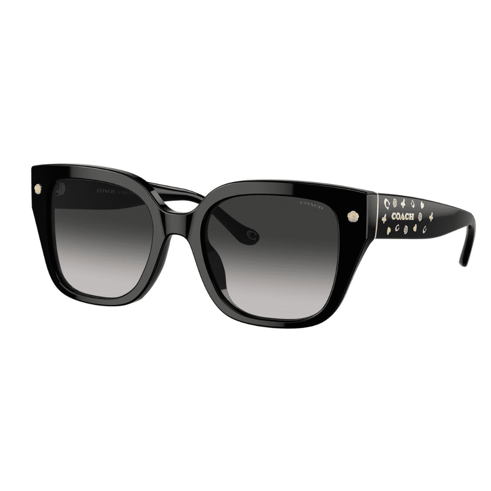 Coach HC8392U 50023C 53 Black/Grey Gradient