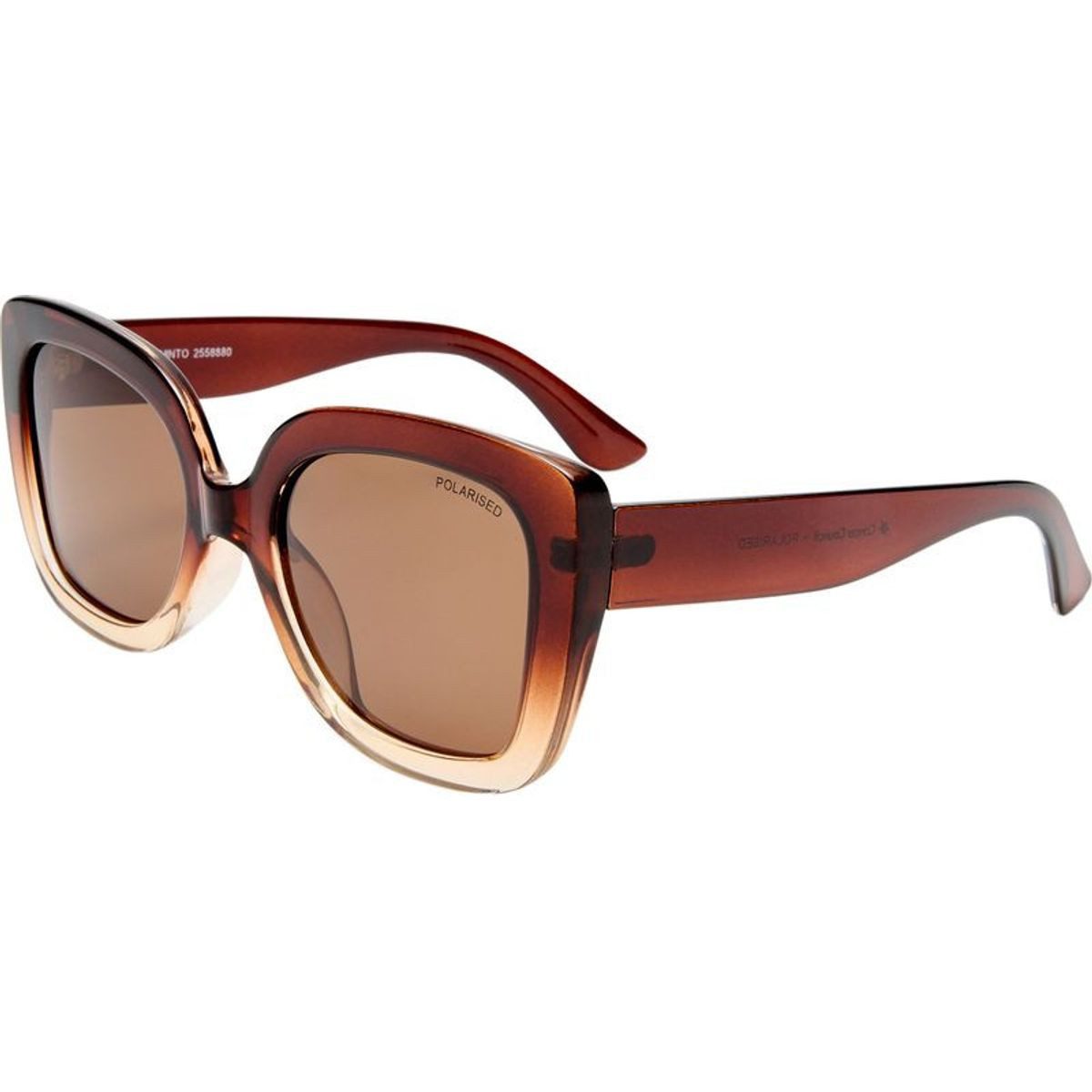 Cancer Council Minto 2558880 Chocolate Gradient/Brown Polarised