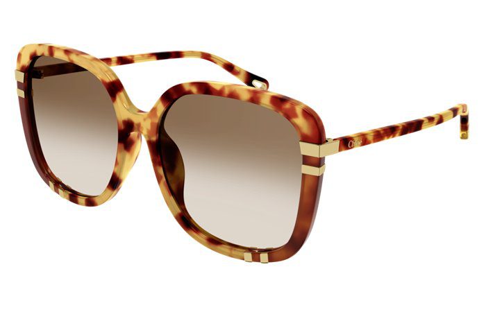 oversized retro designer Sunglasses with tortoiseshell frame and gradient lenses on a white background