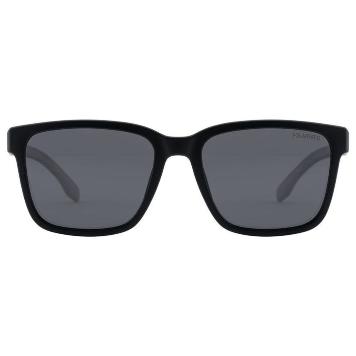 Dirty Dog DD MOOSE 53793 POLARISED square wayfarer unisex sunglass culture coomera sunnies store online front