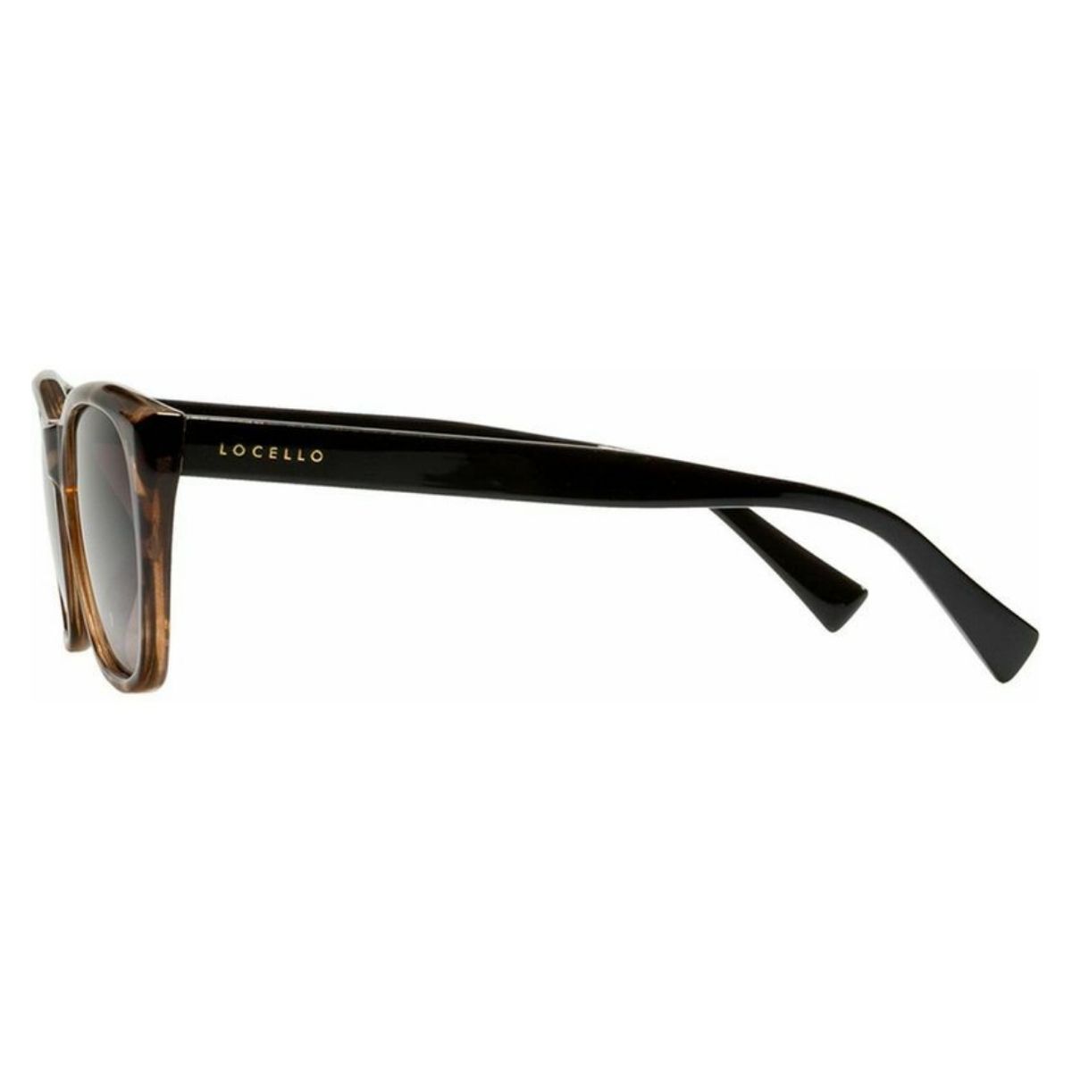 Locello Riley 3881E Tortoiseshell/Brown Gradient Polarised