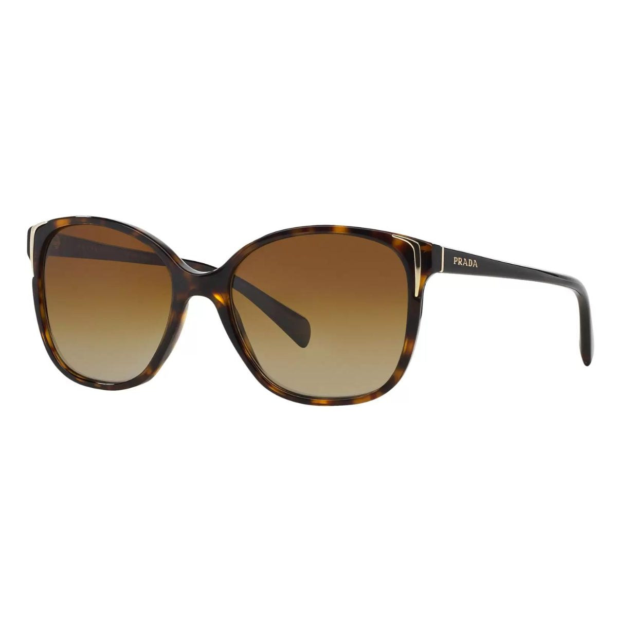 Prada 010S-2AU6E1 55 Havana Brown Polar classic womens sunglass culture coomera westfield
