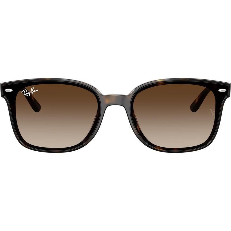 Ray-Ban RB4461D 710 13 64 Havana/Brown Gradient