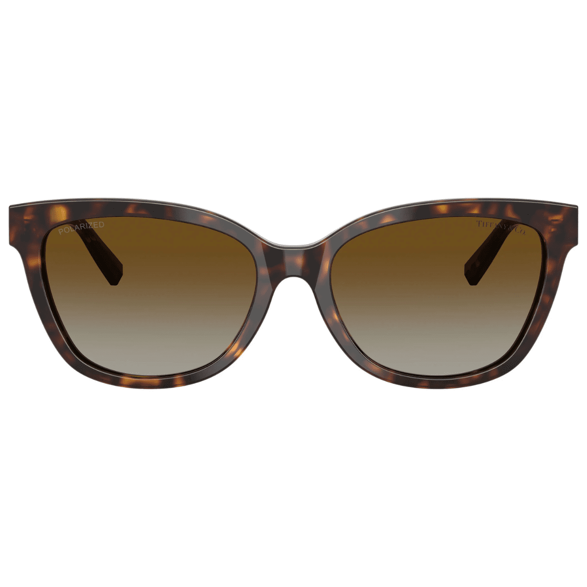 TIFFANY TF4237B 8015T5 55 POLAR HAVANA diamonte t logo arm brown sunglass culture front