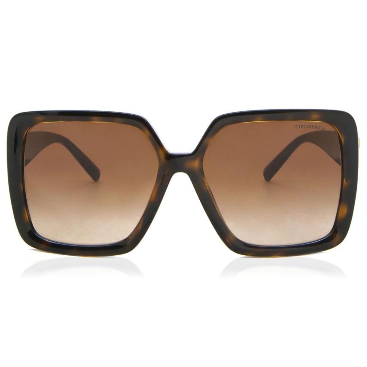 TIFFANY and co 4206U 80153B Tort brown oversized square Sunglass Culture Front