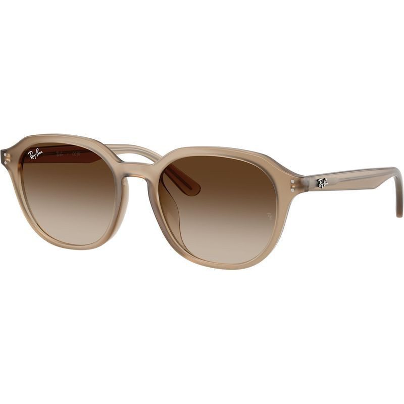 ray ban RB4459D 616613 54 rounded gradient turtle dove brown beige gradient sunglass culture side