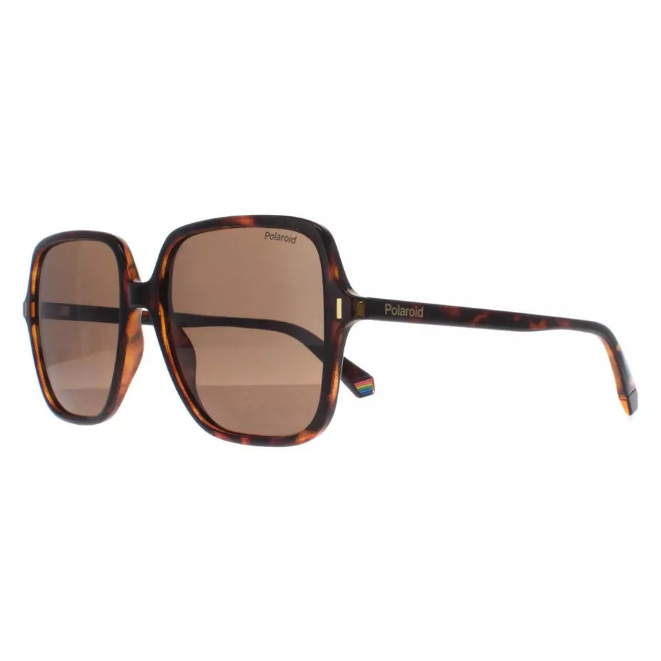 Polaroid PLD 6219/S 086 SP Havana/Bronze Polarised sumglass culture coomera stockist