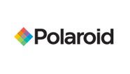 Polaroid Men's Sunglasses