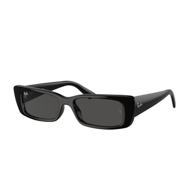 Ray-Ban RB4425 667787 54 TERU BLACK