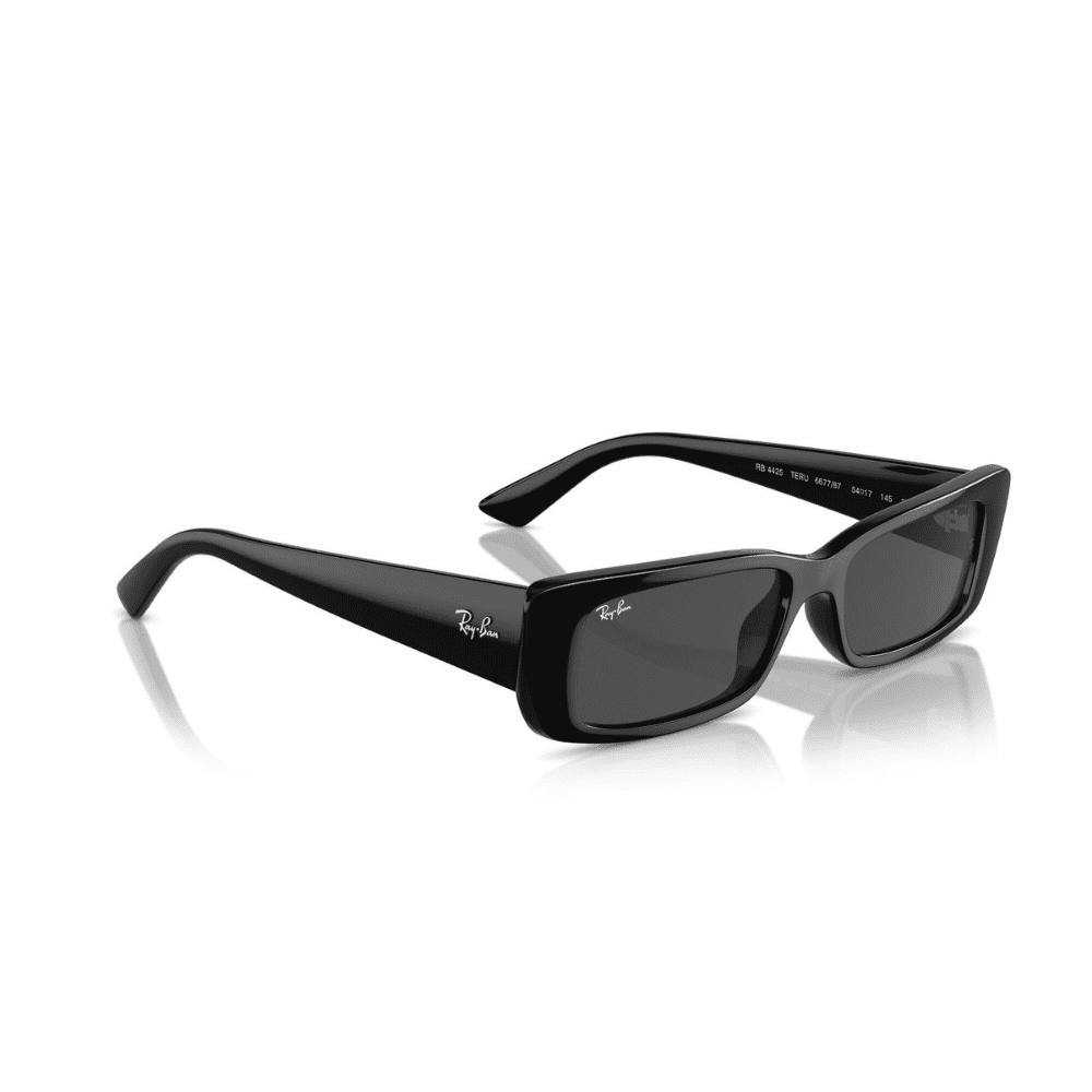 Ray-Ban RB4425 667787 54 TERU BLACK