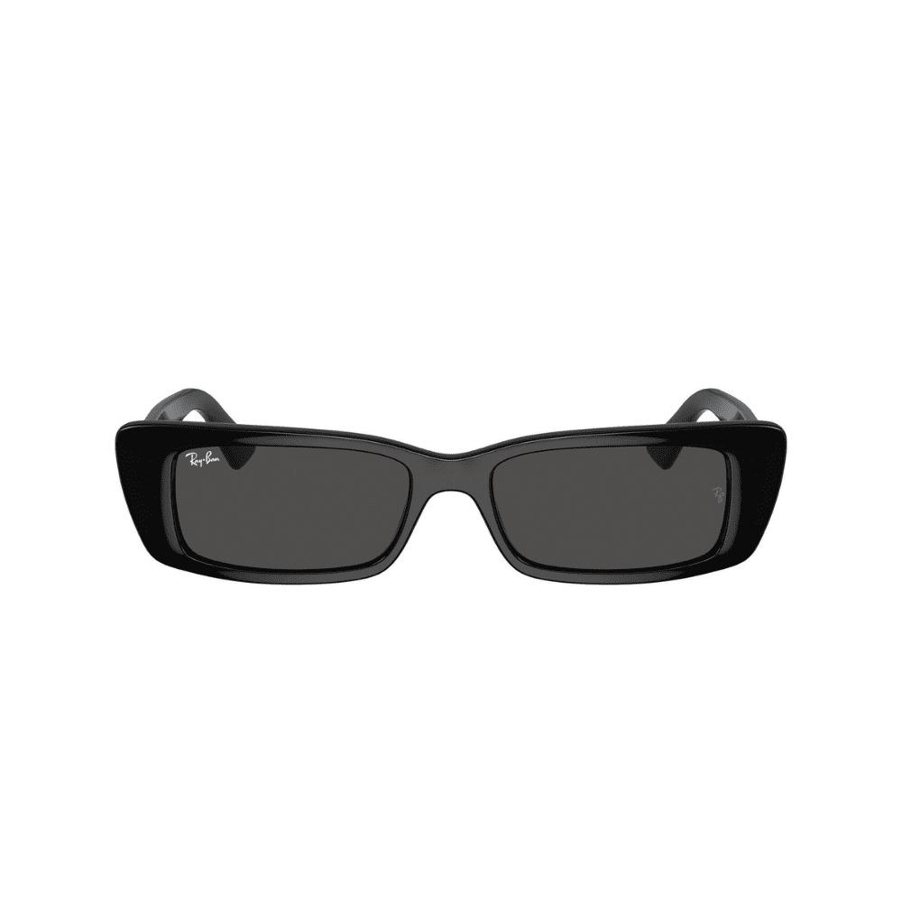 Ray-Ban RB4425 667787 54 TERU BLACK
