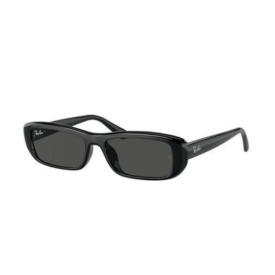 Ray-Ban RB4436D 667787 55 BLACK