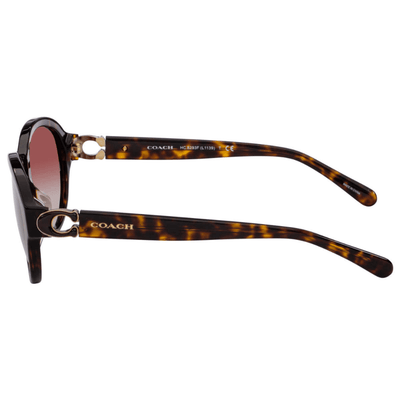Coach HC8293F 512013 57 Dark Tortoise/Pink