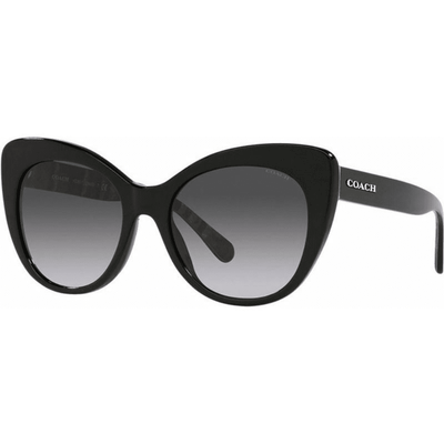 Coach HC8317 5028G 54 Black/Grey