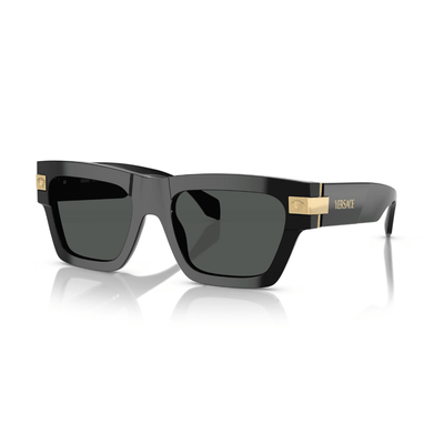 Versace VE4464F GB1/87 55 Black/Dark Grey