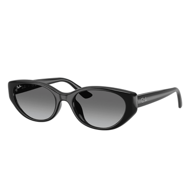 Ray-Ban RB4457D 667711 55 Black/Grey Gradient