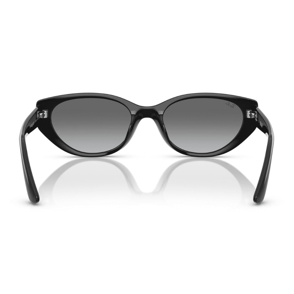 Ray-Ban RB4457D 667711 55 Black/Grey Gradient