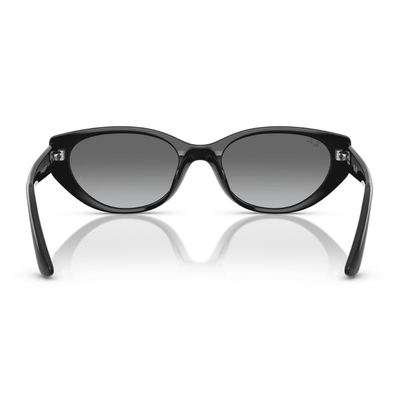 Ray-Ban RB4457D 667711 55 Black/Grey Gradient