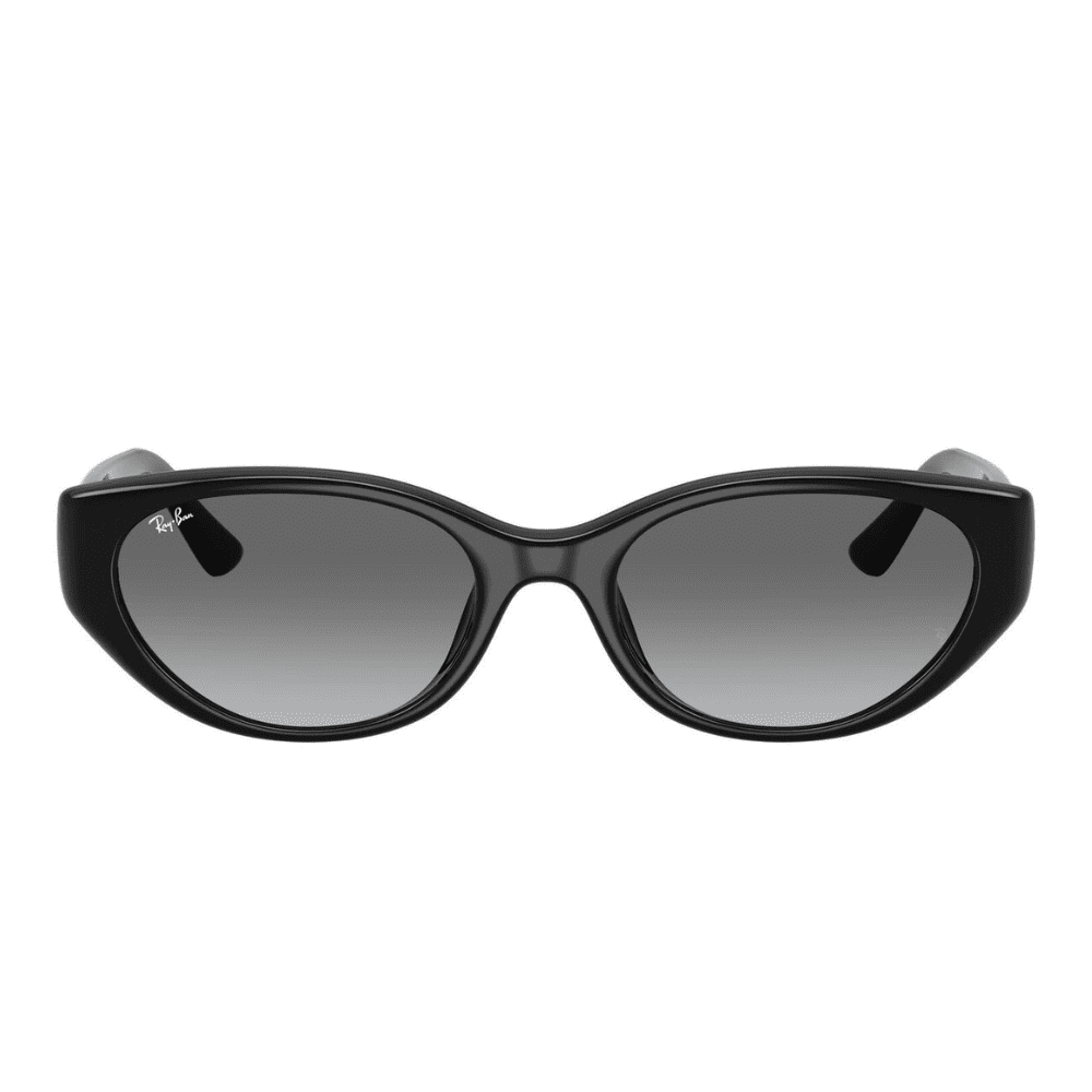 Ray-Ban RB4457D 667711 55 Black/Grey Gradient