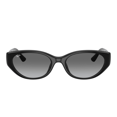 Ray-Ban RB4457D 667711 55 Black/Grey Gradient