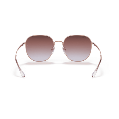 Ray-Ban RB3680D 9202I8 60 ROSE GOLD