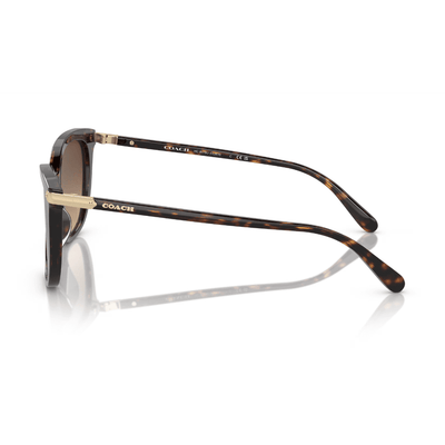 Coach HC8378U 512074 57 Dark Tortoise/Brown