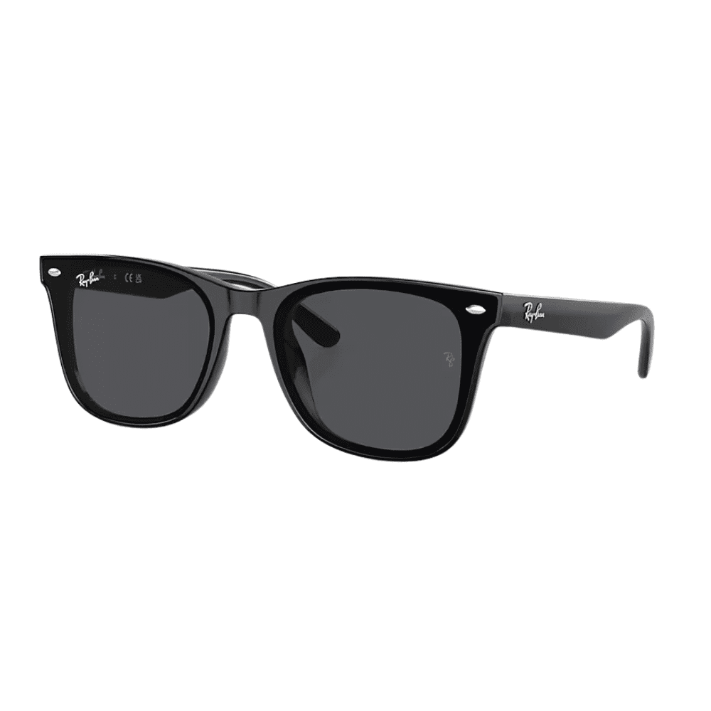 Ray-Ban RB4420 601/87 65 Black/Grey
