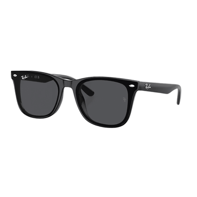 Ray-Ban RB4420 601/87 65 Black/Grey