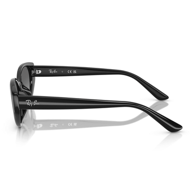 Ray-Ban RB4457D 667711 55 Black/Grey Gradient