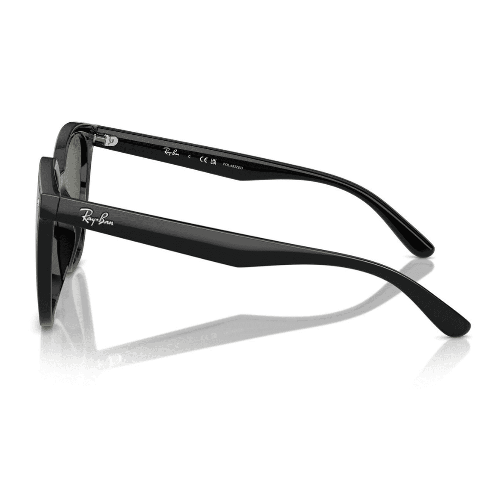 Ray-Ban RB4423D 601/9A-66 Black/Dark Green Polarised