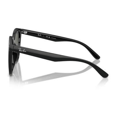 Ray-Ban RB4423D 601/9A-66 Black/Dark Green Polarised