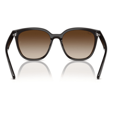 Ray-Ban RB4423D 714/13 66 Transparent Brown/Brown