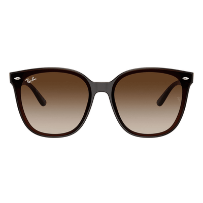 Ray-Ban RB4423D 714/13 66 Transparent Brown/Brown