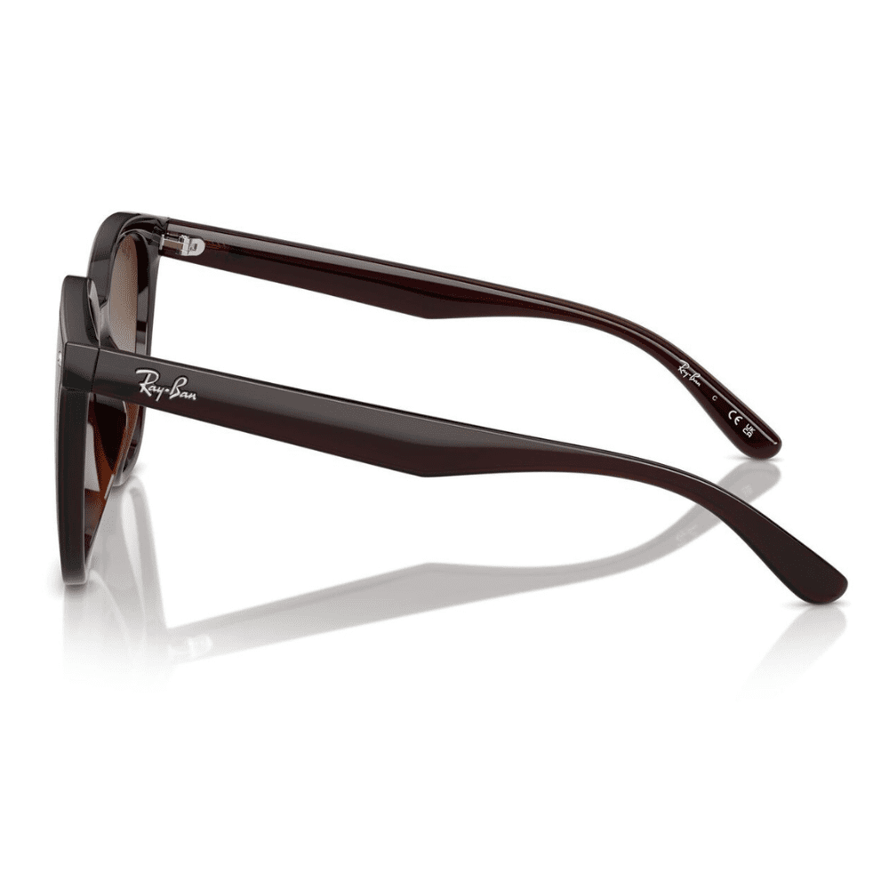 Ray-Ban RB4423D 714/13 66 Transparent Brown/Brown