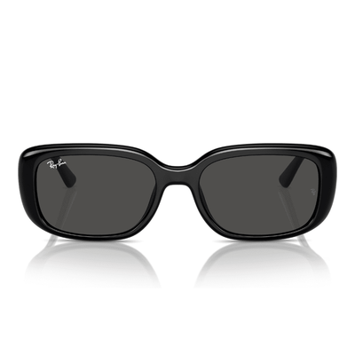 Ray-Ban RB4421D 66787 56 Black/Grey
