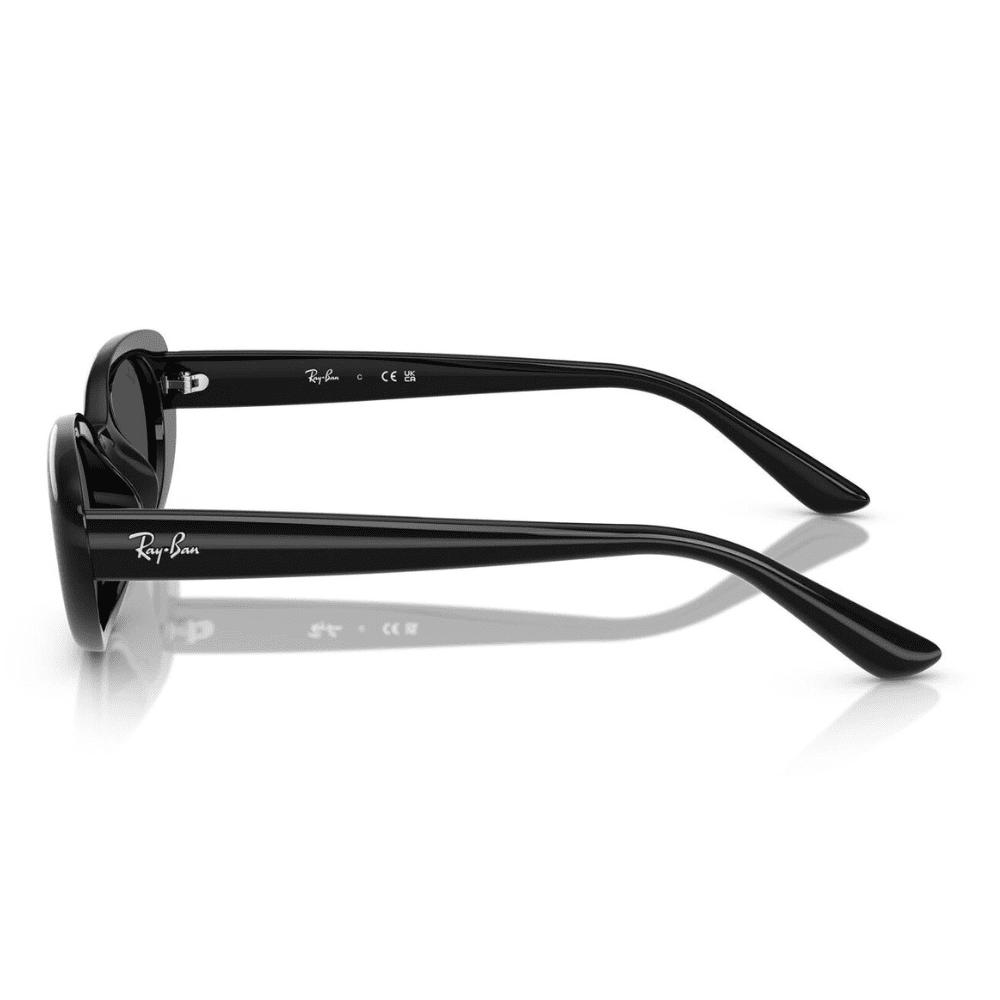 Ray-Ban RB4441D 667787 53 Black/Dark Grey