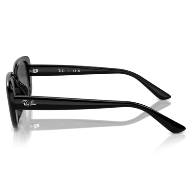Ray-Ban RB4421D 66787 56 Black/Grey