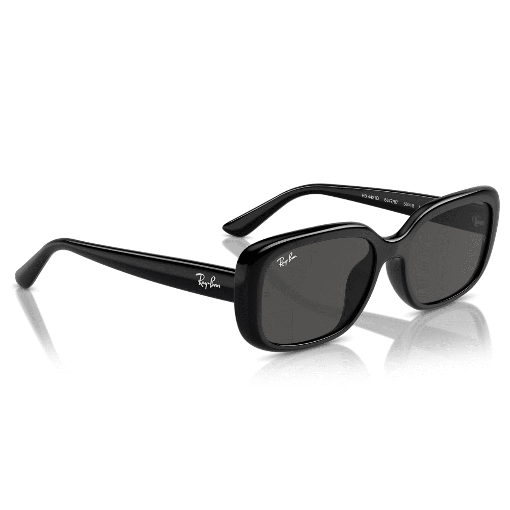 Ray-Ban RB4421D 66787 56 Black/Grey